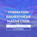 FORMATION RADIESTHESIE ET MAGNETISME Antibes