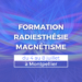 Formation magnetisme radiesthesie Montpellier