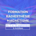 formation radiesthesie magnetisme septembre