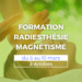 FORMATION RADIESTHÉSIE ET MAGNÉTISME 6 10 mars