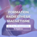 formation magnetisme radiesthesie hyeres novembre 2023